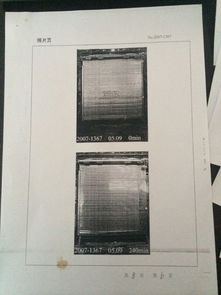 守護(hù)城市安全防線 上海防火卷簾門及其核心動力——卷簾門電機的全面解析