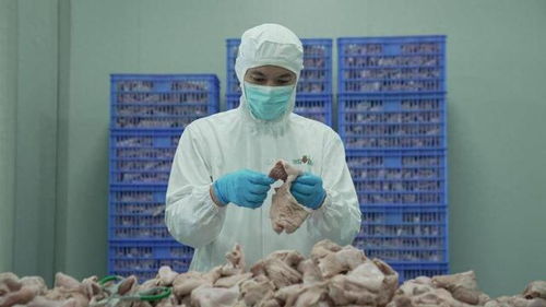 食品安全再上新臺(tái)階 叮咚買菜盱眙工廠通過FSSC體系認(rèn)證與潤滑油銷售管理